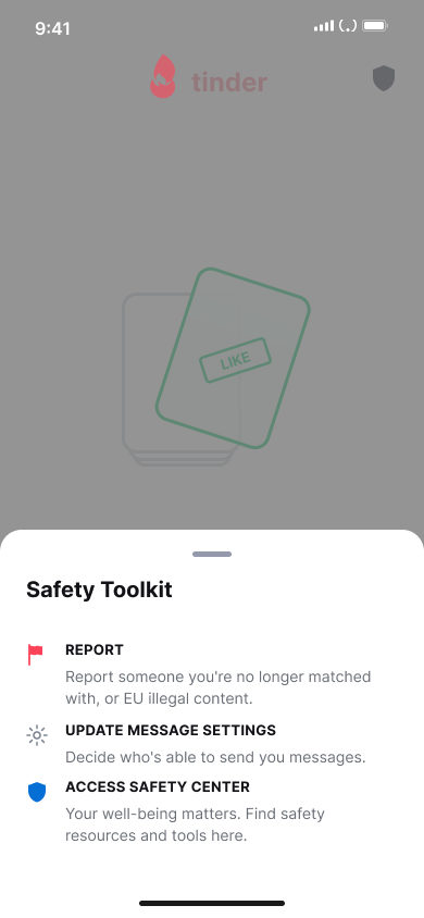 Report a user - Dating — step 2, Tinder (iOS sample screen)