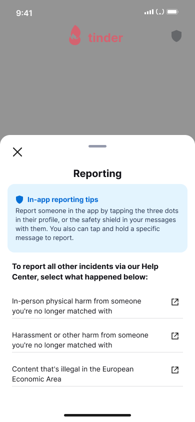 Report a user - Dating — step 3, Tinder (iOS sample screen)