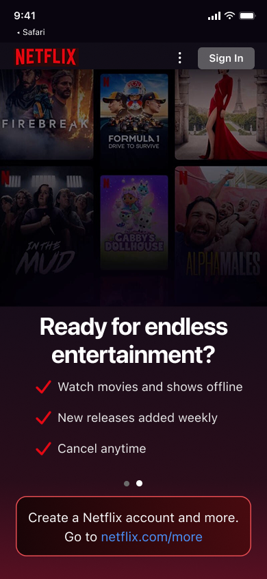 Onboarding and verification (app) — step 1, Netflix (iOS sample screen)
