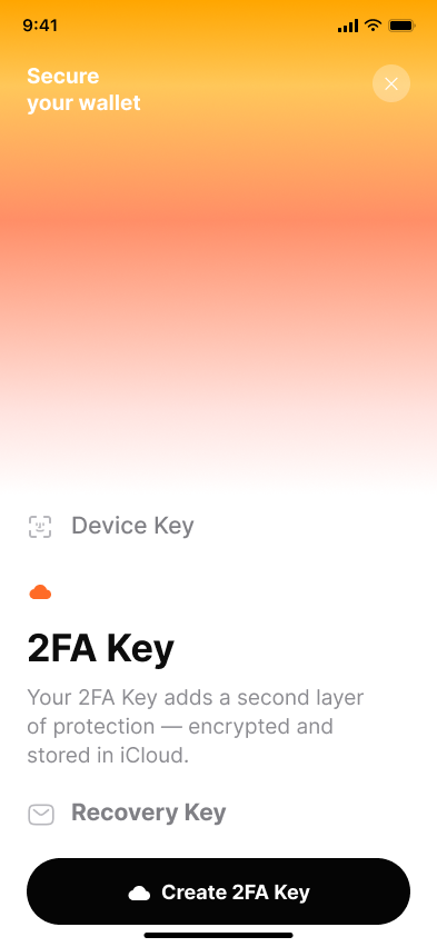 Onboarding - setting up a wallet — step 2, Fuse (iOS sample screen)