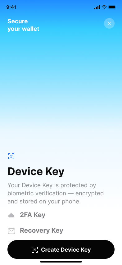Onboarding - setting up a wallet — step 3, Fuse (iOS sample screen)
