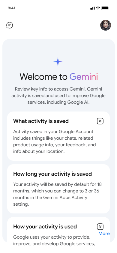 Onboarding — accept AI terms — step 3, Gemini (iOS sample screen)
