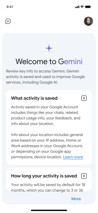 Onboarding — accept AI terms — step 4, Gemini (iOS sample screen)