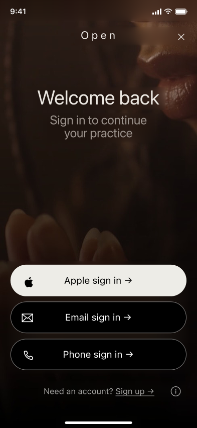Sign in, Open (iOS sample screen)